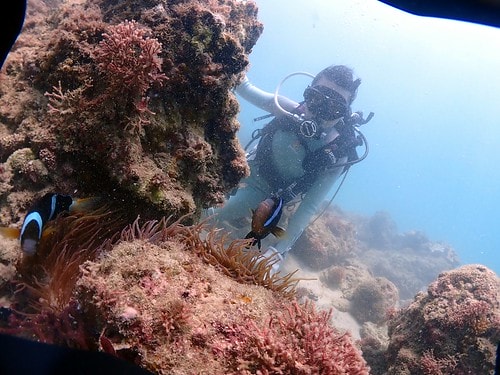 1590912217178-1228688066