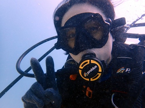 15909123282931529811863