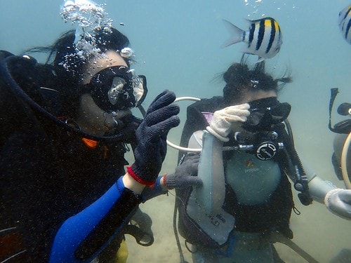 15909123580251961303739