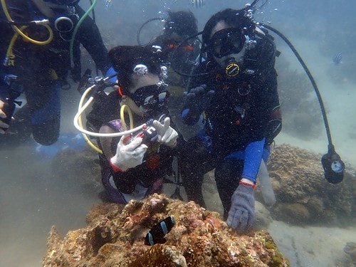 1590912376956-1395902317