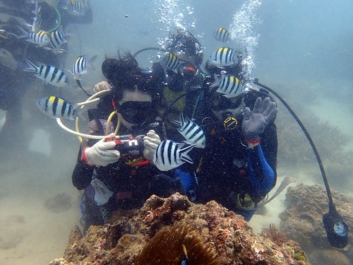 1590912405050-982486405