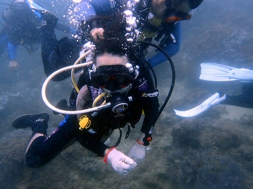 15909124171281840921640