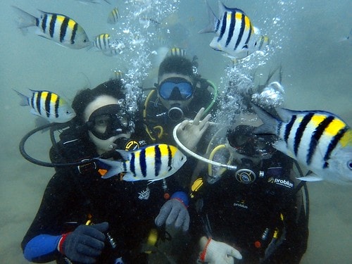 15909124470291160836124