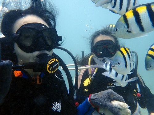 15909124734171999864202