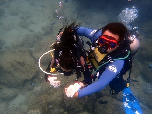 15909125063831090330592