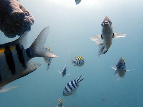 15909116041781192789653