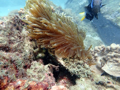 1590911636574-1264590038