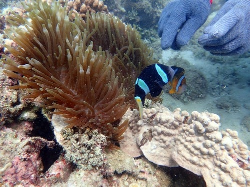 15909116513111760717358