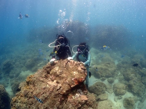 1590911779866974501866