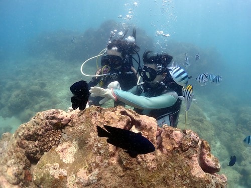 1590911792567-575627058