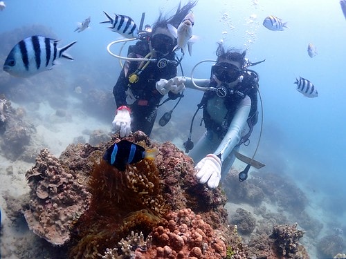 1590911982942-1282153368