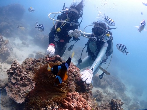 15909119874201976821521