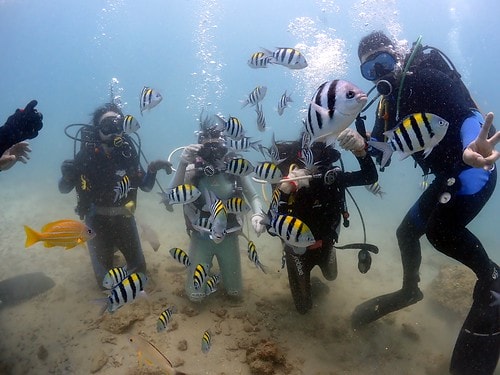 1590912148539-903696581