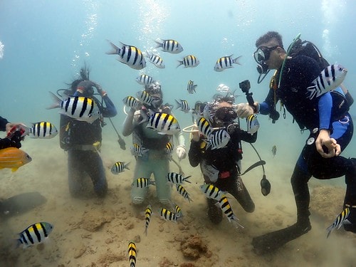 1590912154041368362271