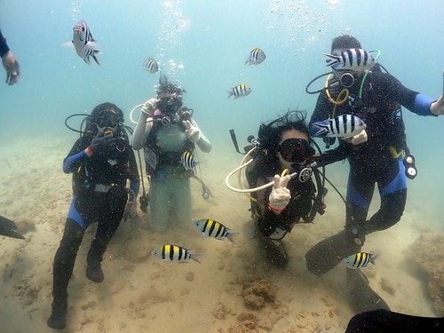 1590912159249275861343