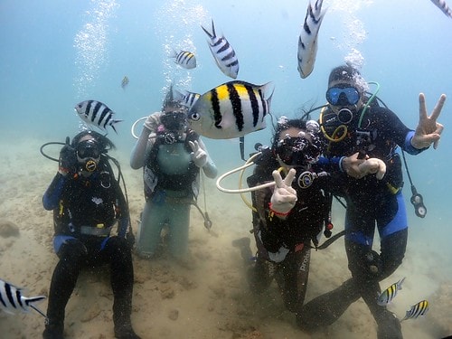 15909121659101887033574