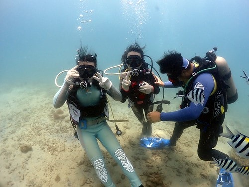 15909121931152004066344