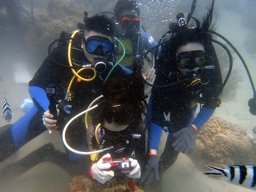 1590912362806-536307623