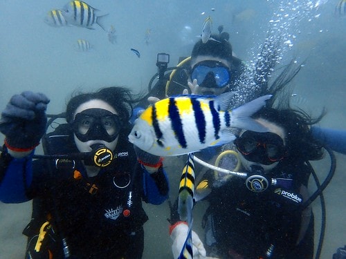 1590912438441-320330118