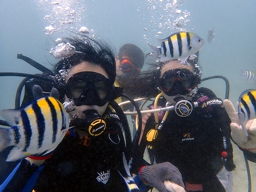 15909124689471445717185