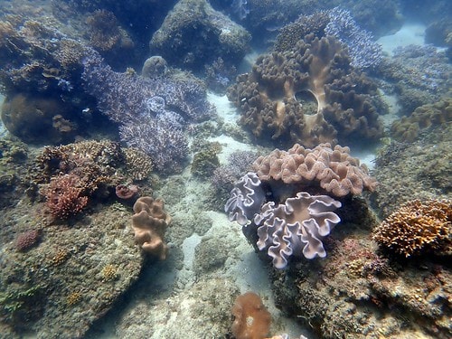 15909115400981416904082