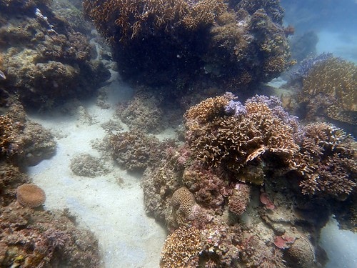 1590911559397469721646