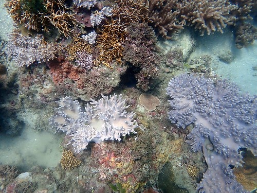 15909115774511482487237