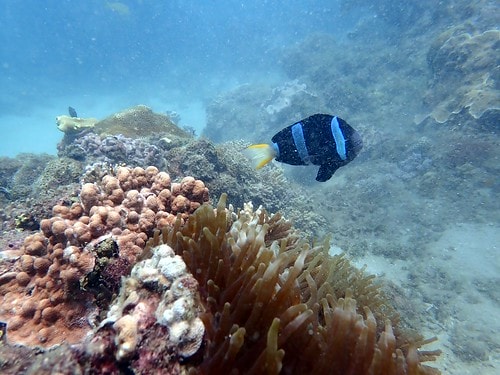 1590911628037-1353408152