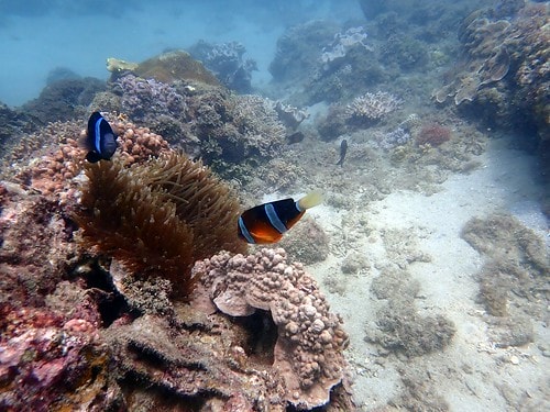 1590911668412-1384972226