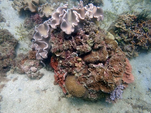 15909116750581762722353