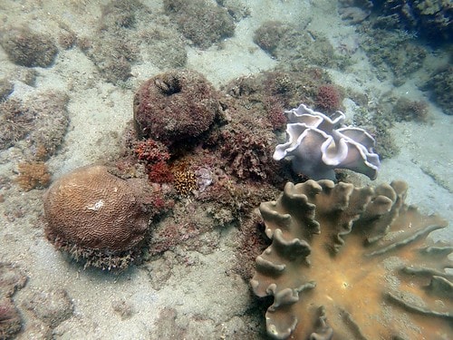 1590911683283955499368