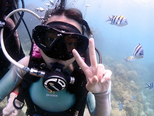 15909118513291951319211