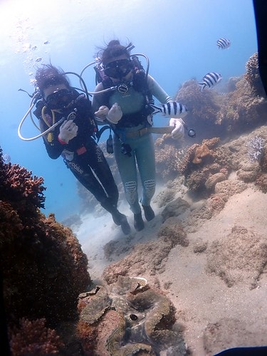 15909119667042019266873