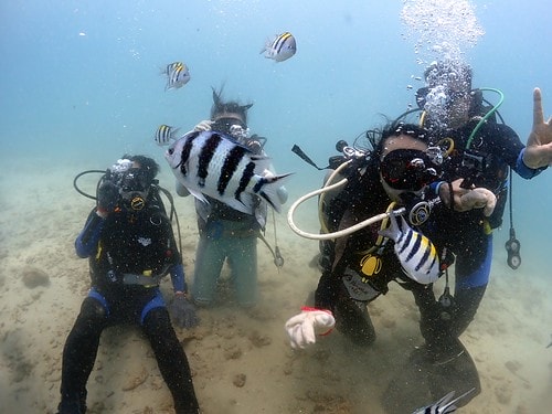 1590912171598-1805929484