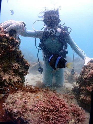 1590912208088-1682096676