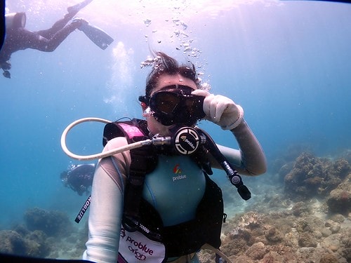 159091225153676886256