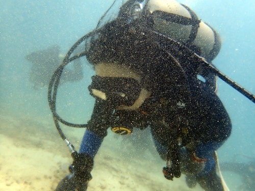 1590912310351914961147