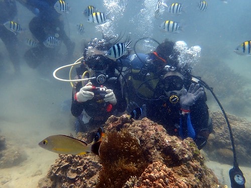 1590912394571-2047457689