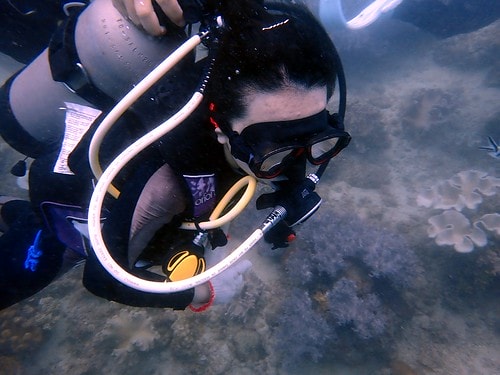 1590912411268-306611944