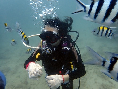 1590912483091714162516