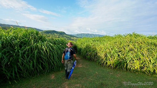 【屏東|社頂】20201018 "東方足跡"-南岬行腳:墾丁 DSC09338