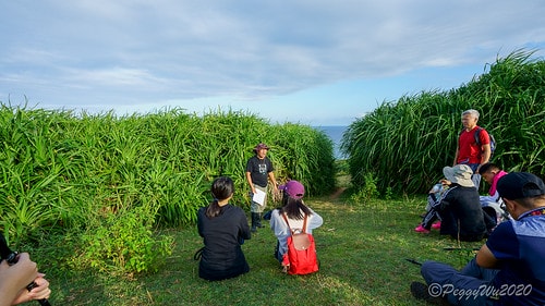 【屏東|社頂】20201018 "東方足跡"-南岬行腳:墾丁 DSC09328