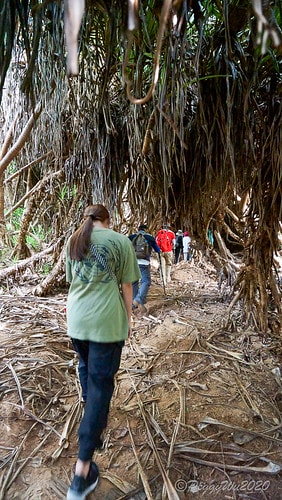 【屏東|社頂】20201018 "東方足跡"-南岬行腳:墾丁 DSC09285