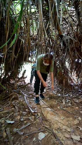 【屏東|社頂】20201018 "東方足跡"-南岬行腳:墾丁 DSC09280