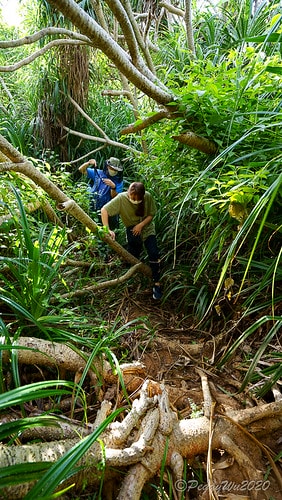 【屏東|社頂】20201018 "東方足跡"-南岬行腳:墾丁 DSC09278