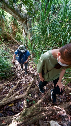 【屏東|社頂】20201018 "東方足跡"-南岬行腳:墾丁 DSC09275