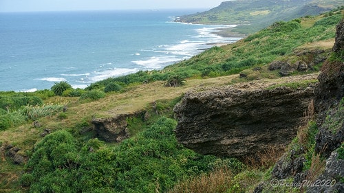 【屏東|社頂】20201018 "東方足跡"-南岬行腳:墾丁 DSC01096