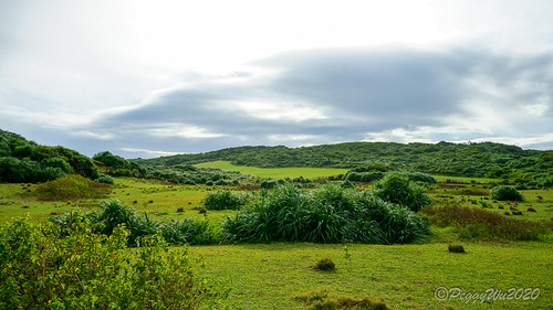 【屏東|社頂】20201018 "東方足跡"-南岬行腳:墾丁 DSC09265