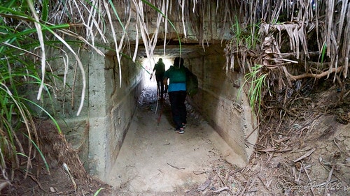 【屏東|社頂】20201018 "東方足跡"-南岬行腳:墾丁 DSC09249