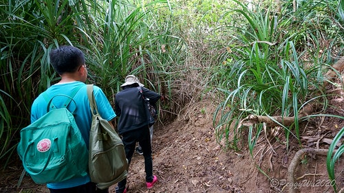 【屏東|社頂】20201018 "東方足跡"-南岬行腳:墾丁 DSC09248